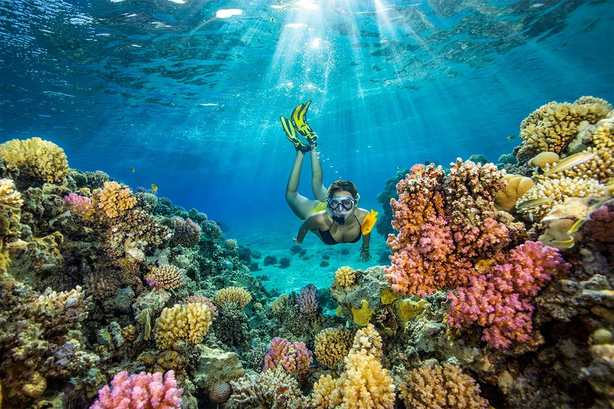 Snorkeling